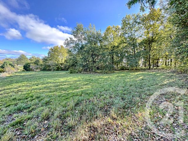 terrain à vendre - 3600.0 m2 - ST POURCAIN SUR SIOULE - 03 - AUVERGNE - Century 21 Lefèbvre Immobilier