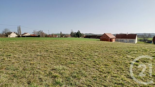 terrain à vendre - 1546.0 m2 - SAULCET - 03 - AUVERGNE - Century 21 Lefèbvre Immobilier