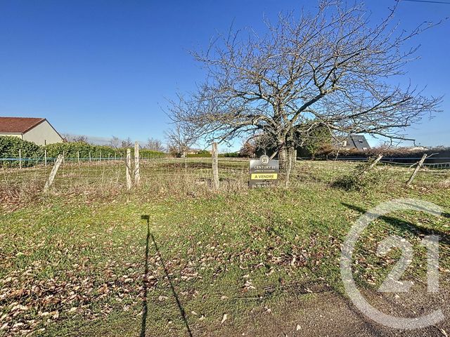 terrain à vendre - 3676.0 m2 - MONETAY SUR ALLIER - 03 - AUVERGNE - Century 21 Lefèbvre Immobilier