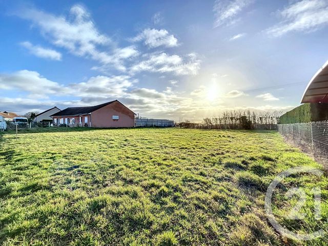 terrain à vendre - 892.0 m2 - TREBAN - 03 - AUVERGNE - Century 21 Lefèbvre Immobilier