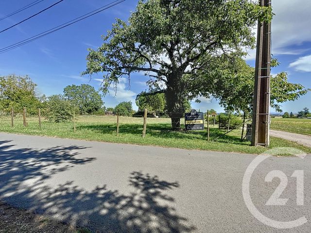 terrain à vendre - 1820.0 m2 - LOUCHY MONTFAND - 03 - AUVERGNE - Century 21 Lefèbvre Immobilier