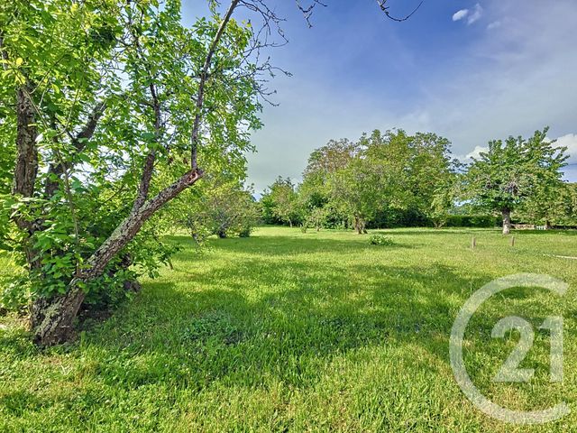 maison à vendre - 5 pièces - 202.5 m2 - DENEUILLE LES CHANTELLE - 03 - AUVERGNE - Century 21 Lefèbvre Immobilier