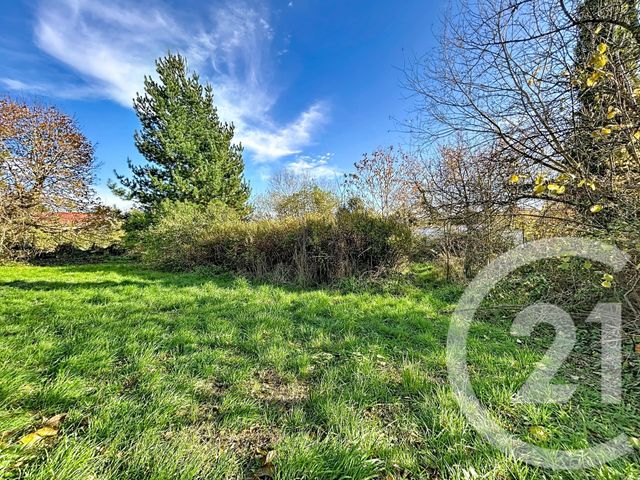 terrain à vendre - 960.0 m2 - TREBAN - 03 - AUVERGNE - Century 21 Lefèbvre Immobilier