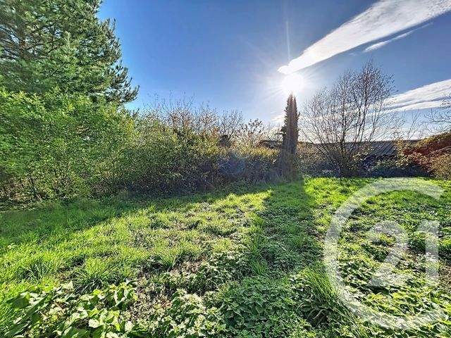 terrain à vendre - 960.0 m2 - TREBAN - 03 - AUVERGNE - Century 21 Lefèbvre Immobilier