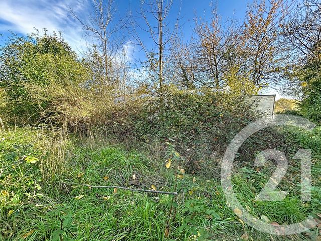 terrain à vendre - 960.0 m2 - TREBAN - 03 - AUVERGNE - Century 21 Lefèbvre Immobilier