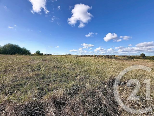 terrain à vendre - 6474.0 m2 - ST POURCAIN SUR SIOULE - 03 - AUVERGNE - Century 21 Lefèbvre Immobilier