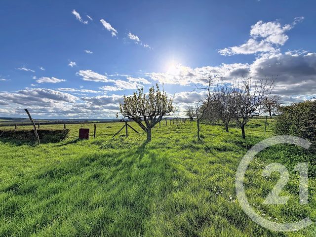 maison à vendre - 4 pièces - 108.0 m2 - CHANTELLE - 03 - AUVERGNE - Century 21 Lefèbvre Immobilier