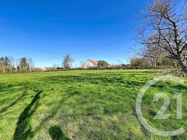 terrain à vendre - 915.0 m2 - LE MONTET - 03 - AUVERGNE - Century 21 Lefèbvre Immobilier